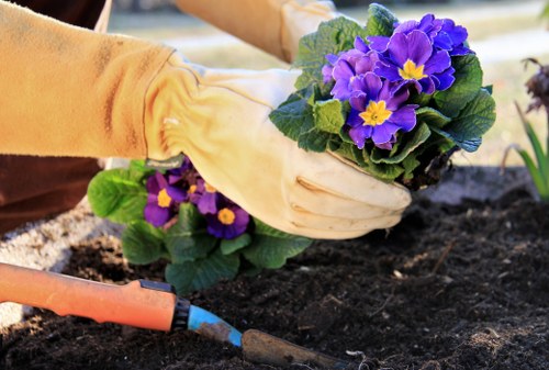 Garden debris being cleared by professionals